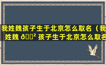 我姓魏孩子生于北京怎么取名（我姓魏 🌲 孩子生于北京怎么取名好听）